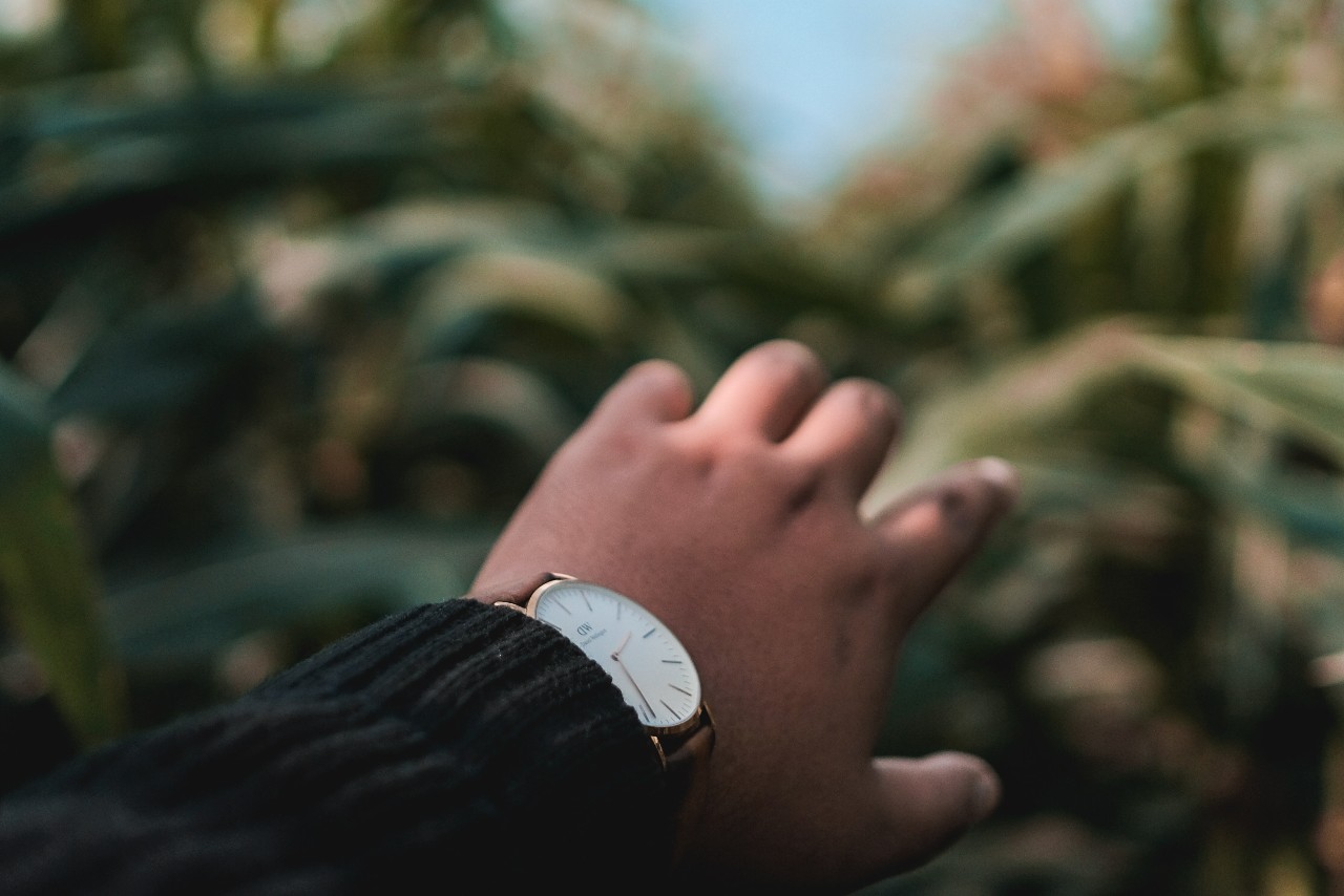 a hand outstretched towards towards some greenery, wearing a white watch