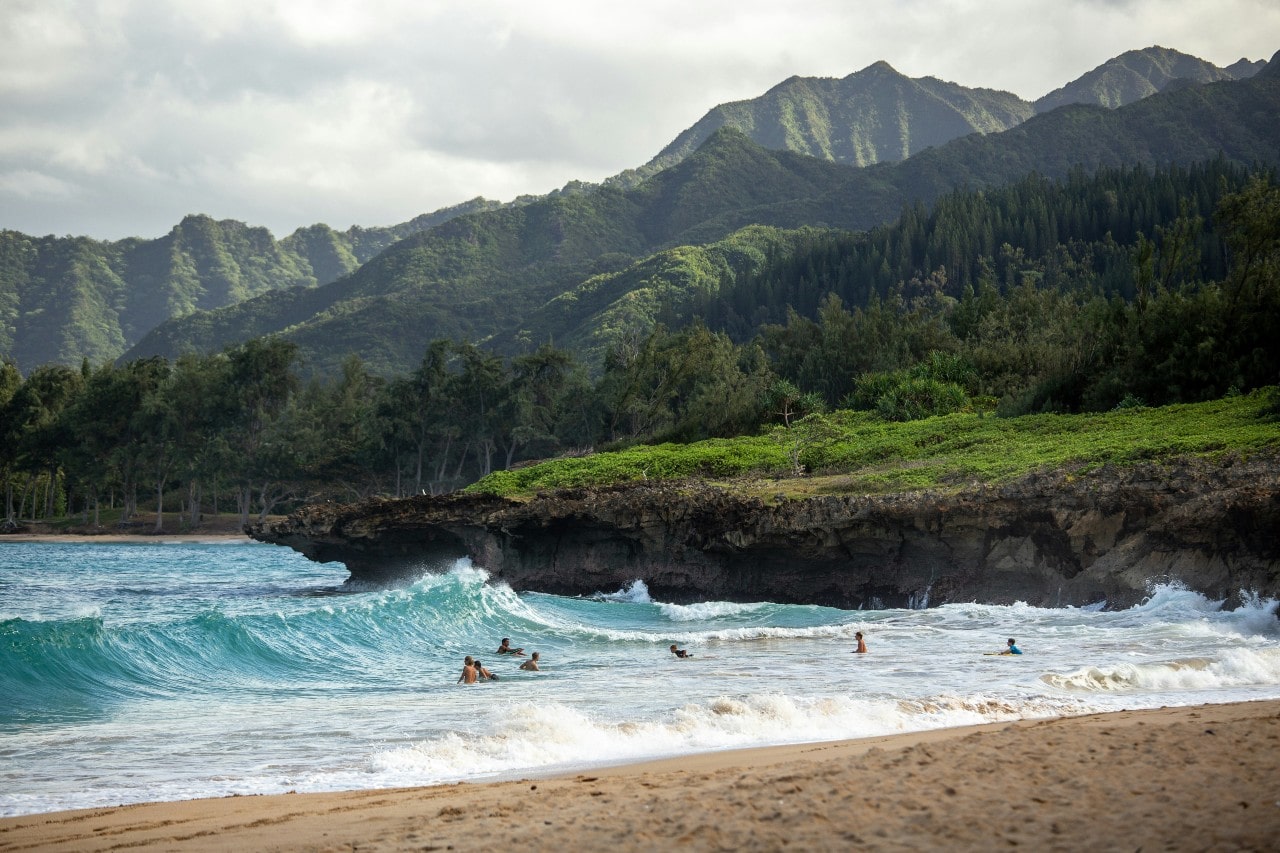 A view of a seashore with people swimming on the waves and a green forestry background.
