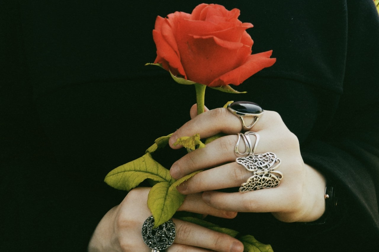 two hands wearing fashion jewelry and holding a red rose