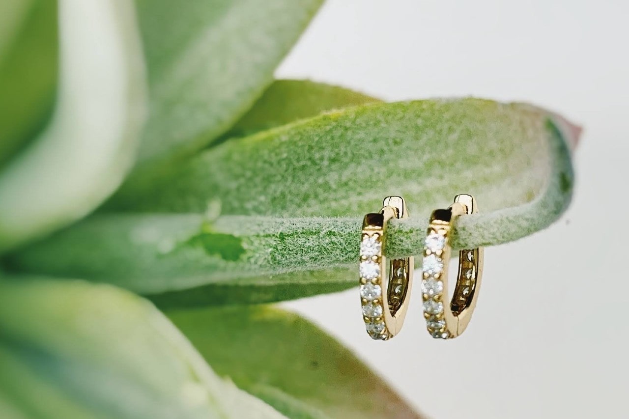a pair of yellow gold diamond huggies earrings hanging on a succulent