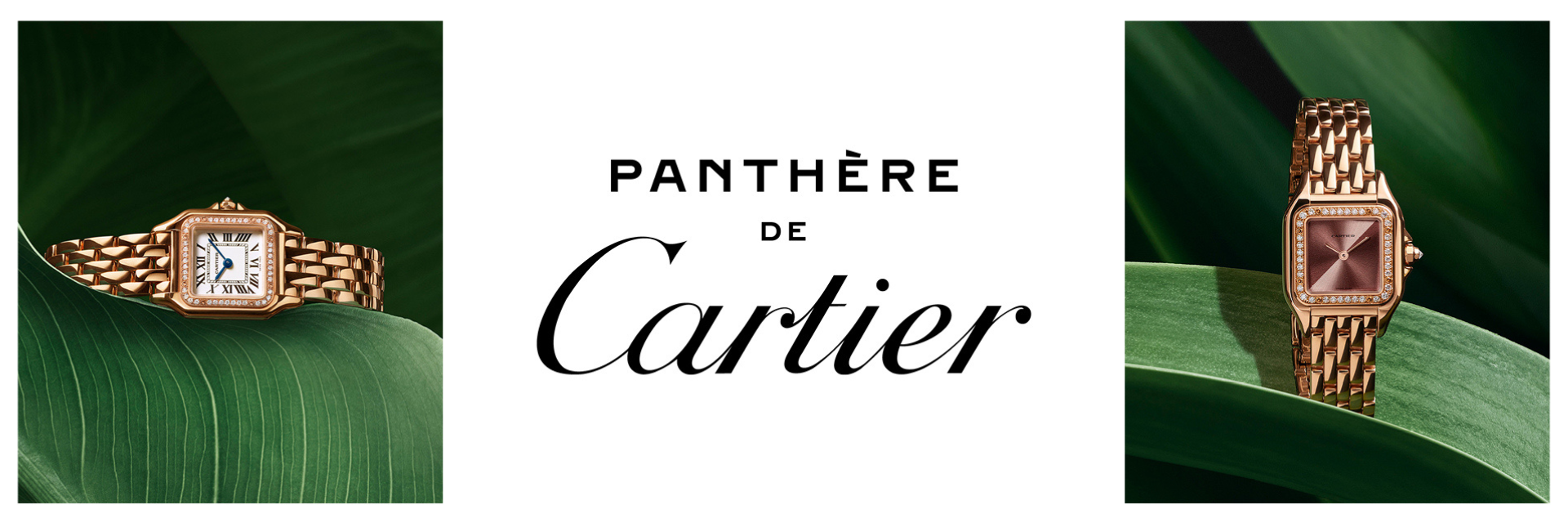 Cartier Banner