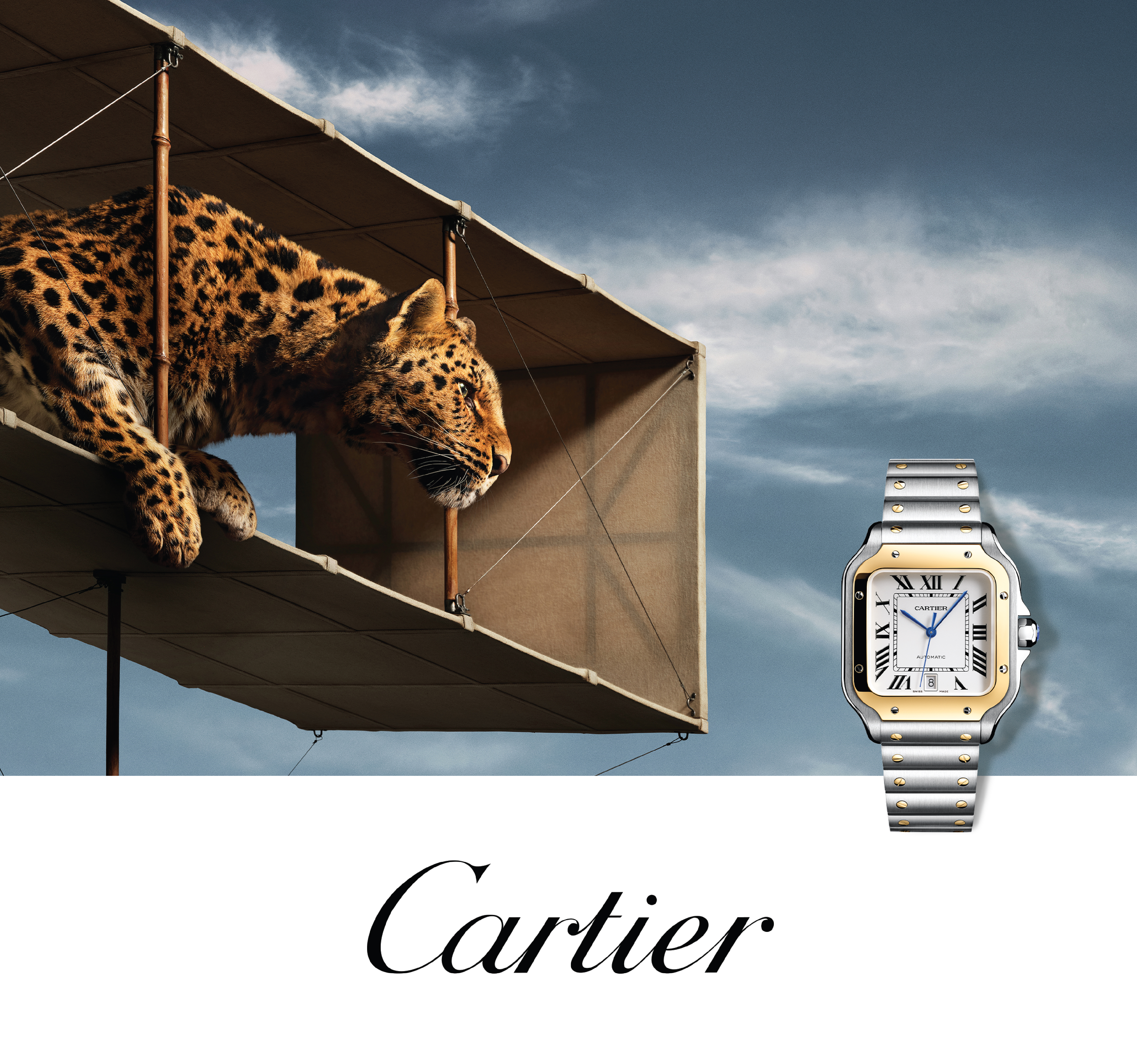 Cartier Banner