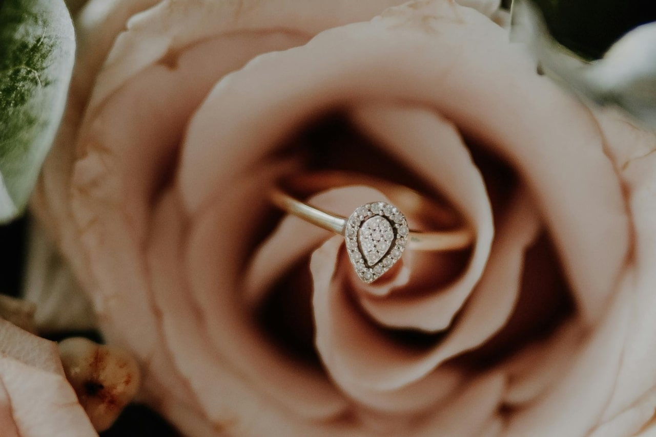 A pear-shaped engagement ring tucked inside of a pink rose.